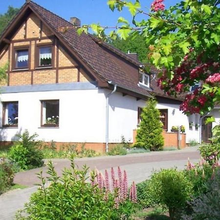 Fewo Im Herzen Der Insel Bergen Auf Rugen Exterior foto